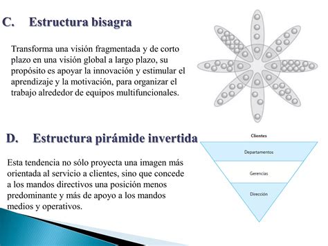 Tipos De Estructura Organizacional Organigramas Ppt