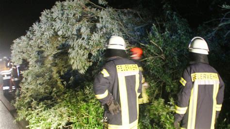 Gewitter Baum St Rzt Auf Stra E Rheiderland Zeitung