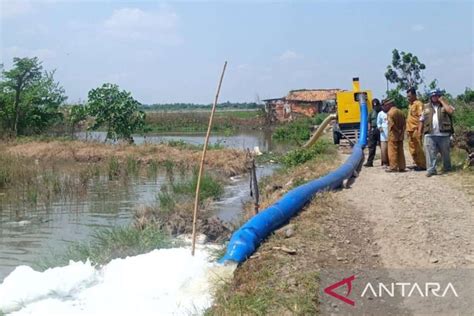 Pemkab Bekasi Atasi Kekeringan Lahan Pertanian Antara News Megapolitan