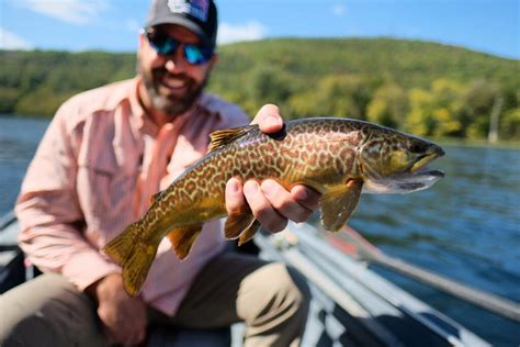 White River Arkansas Trout Fishing Rising River Guides