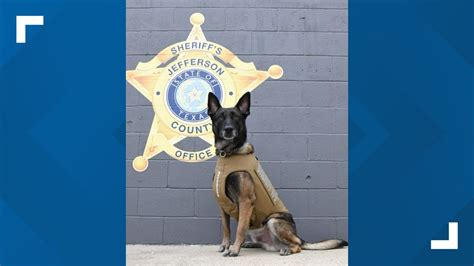 Jefferson County Sheriffs Office K9 Gets New Body Armor