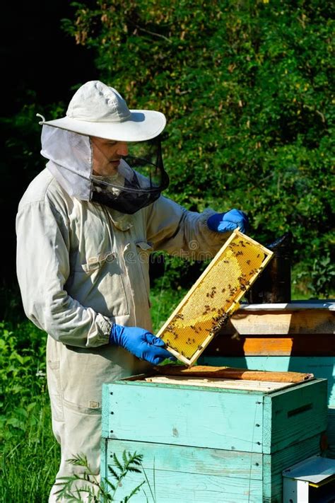 Beekeeper In Protective Workwear Inspecting Frame At Apiary The