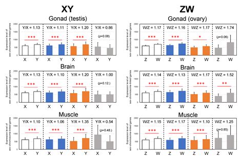 Parallel Evolution Of Sex Linked Genes Across Xx Xy And Zz Zw Sex