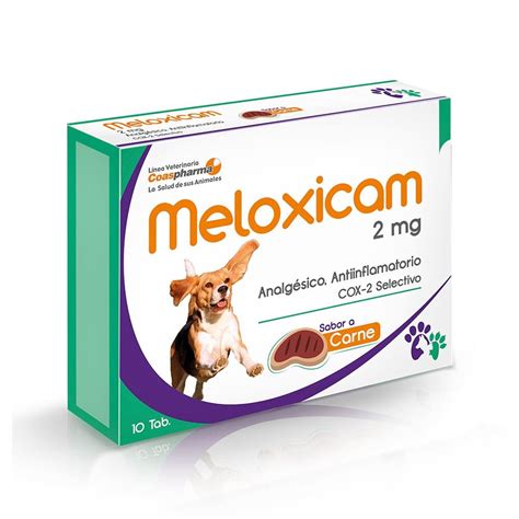 Meloxicam Para Perros Gu A De Dosificaci N Y Efectos Secundarios