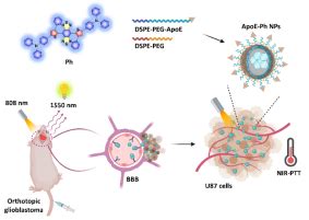 Advanced Materials杂志连续刊文报道河南省脑靶向生物纳米药物重点实验室最新研究进展 河南大学药学院