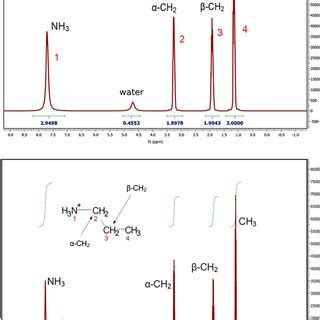 The ¹H NMR spectrum of PAN before top and after bottom drying The