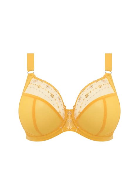 Elomi Matilda Plunge Bra Bra Daisy La Donna Lingerie Lilydale
