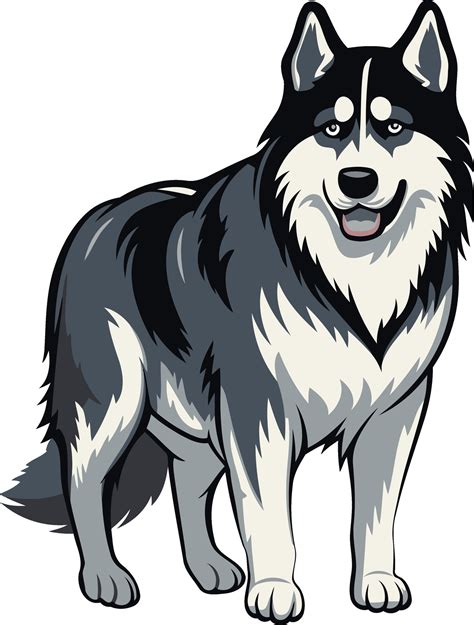 Cartoon Illustration of a Siberian Husky 49243489 Vector Art at Vecteezy