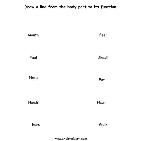 Free Exploralearn Worksheets, Human Body, Body Parts Worksheets