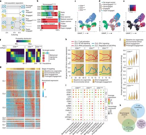 Behavioral Transcriptomic Profiling Of Tegs Following Pdo Exposure Download Scientific Diagram