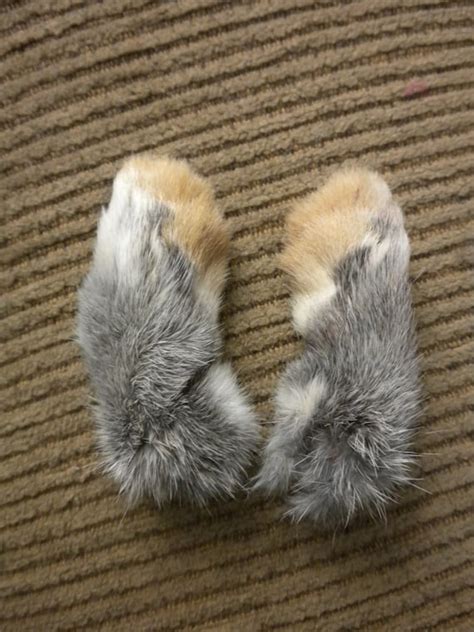 Real Dried Chinchilla Rabbit Feet Front Paws