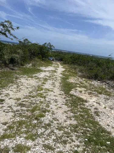 2023 Best Short Trails In Guanica State Forest Alltrails