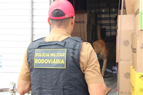 Cães Da Polícia Rodoviária Estadual Ajudam A Garantir Carnaval Mais