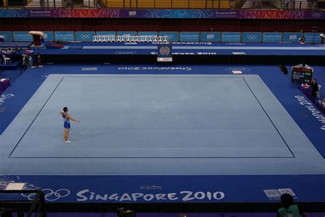 Aparatos de gimnasia rítmica: masculina y femenina