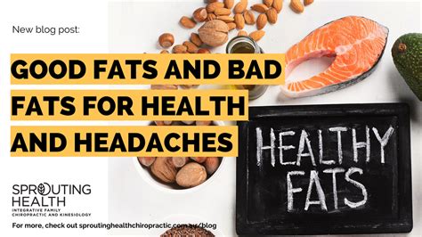 Good Fats And Bad Fats For Health And Headaches SPROUTING HEALTH