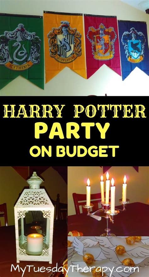 Host A Magical Harry Potter Party On Small Budget Artofit