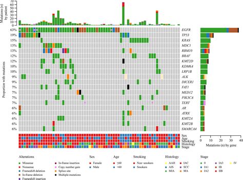 Frontiers Molecular Identification And Genetic Characterization Of