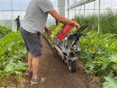 Une Semaine Dans La Peau Dun E Mara Cher Re Neofarm Neofarm