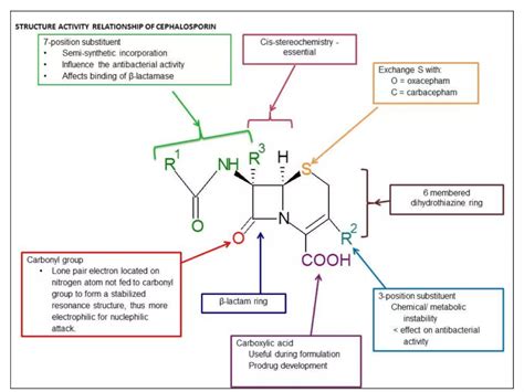 Third Generation Cephalosporins 3