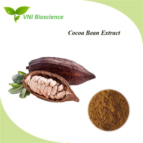 Kosher Halal Certified Natural Cocoa Bean Extract China Cocoa