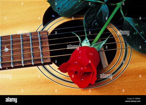 Red Acoustic Guitar Red Rose Fotografías E Imágenes De Alta Resolución