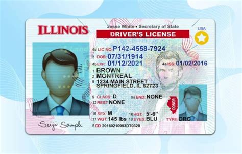 Illinois Drivers License Template New Edition Psd Photoshop File