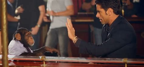 The Offspring We Never Have Sex Anymore Aktuálně cz