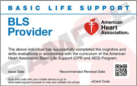 Aha Cpr Test Questions And Answers Bls Test Answers Aha Exam