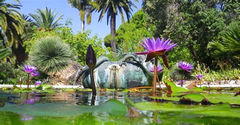 Serre De La Madone Garden Menton Menton Riviera Merveilles