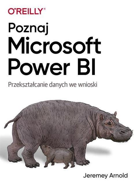 Poznaj Microsoft Power BI Jeremey Arnold Książka w Empik