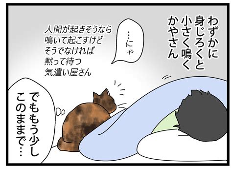 添い寝？ 保護猫かやさん～凛々しいサビ猫様と私～