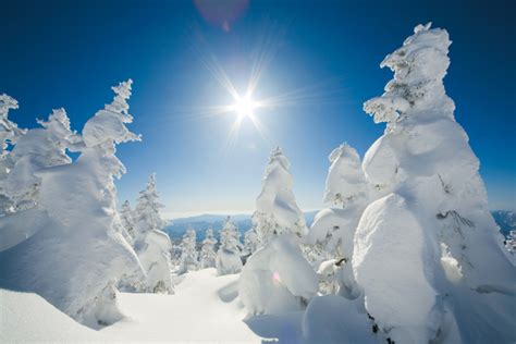 Akita in winter white | Travel