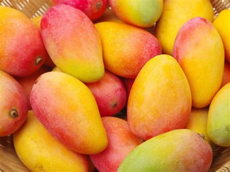 Exportaciones Peruanas De Mango Caen En Volumen 76 En Lo Que Va De La