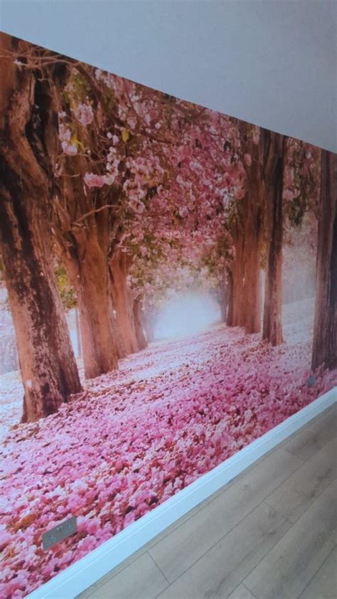 Photowall Mural Installation Eye Catching Design Across Your Walls