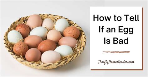 How To Tell If An Egg Is Bad Expert Tips For Spotting Spoiled Eggs