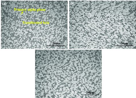 Microstructural characteristics of Ti-6Al-4V alloy (a) Ti-6Al-4V-0.17O,... | Download Scientific ...