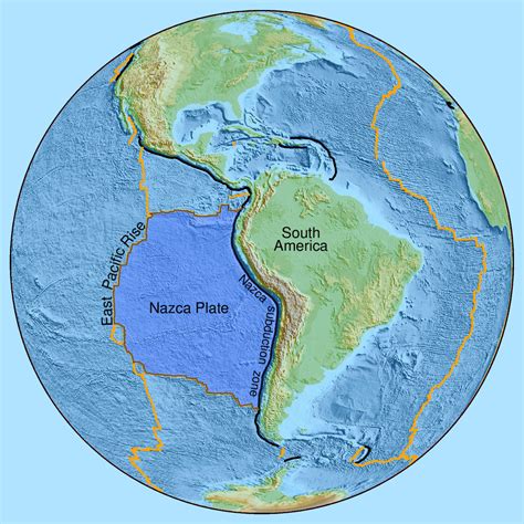 What Zone Is The Bottom Of The Ocean Floor Made Of In China - Infoupdate.org
