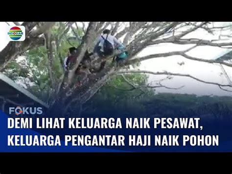 Pengantar Calon Haji Naik Pohon Demi Lihat Keluarga Naik Pesawat