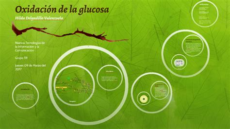 Oxidación de la glucosa by hilda delgadillo on Prezi