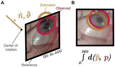 Frontiers A Protocol To Quantify Cross Sectional And Longitudinal