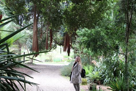 San Francisco Botanical Garden | Ohio Girl Travels