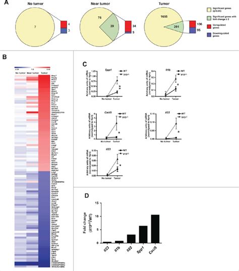 Differentially Expressed Genes Profiles In Wt And Il Colon