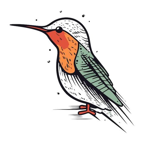 Premium Vector Hummingbird Hand Drawn Vector Illustration Isolated On