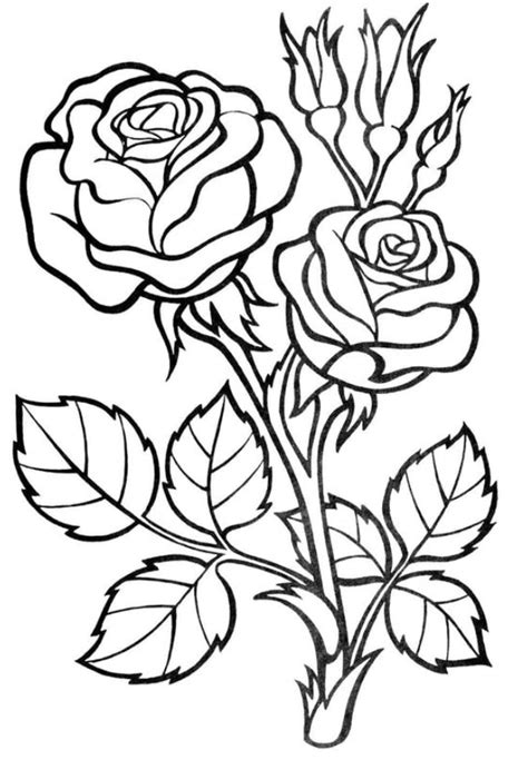 Coloring Pages | Roses Coloring Pages For Kids