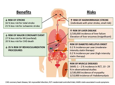 Statin Therapy Clinical Benefits And Potential Risks Cardiology Update