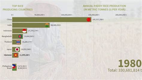 Top Rice Production Countries Philippines Comparison Youtube