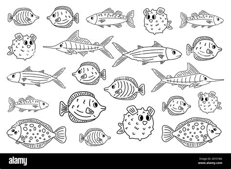 Set of outline white black different cartoon vector underwater fish ...