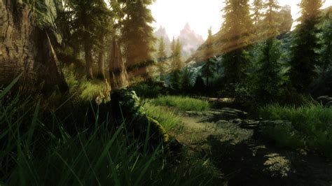 Green Leafed Trees The Elder Scrolls V Skyrim Video Games Hd