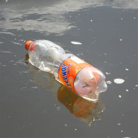 Plastic Bottle In River Bristol Avon Rivers Trust