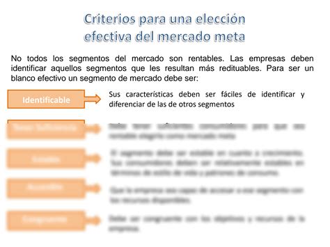 Solution Capitulo Segmentacion Del Mercado Studypool